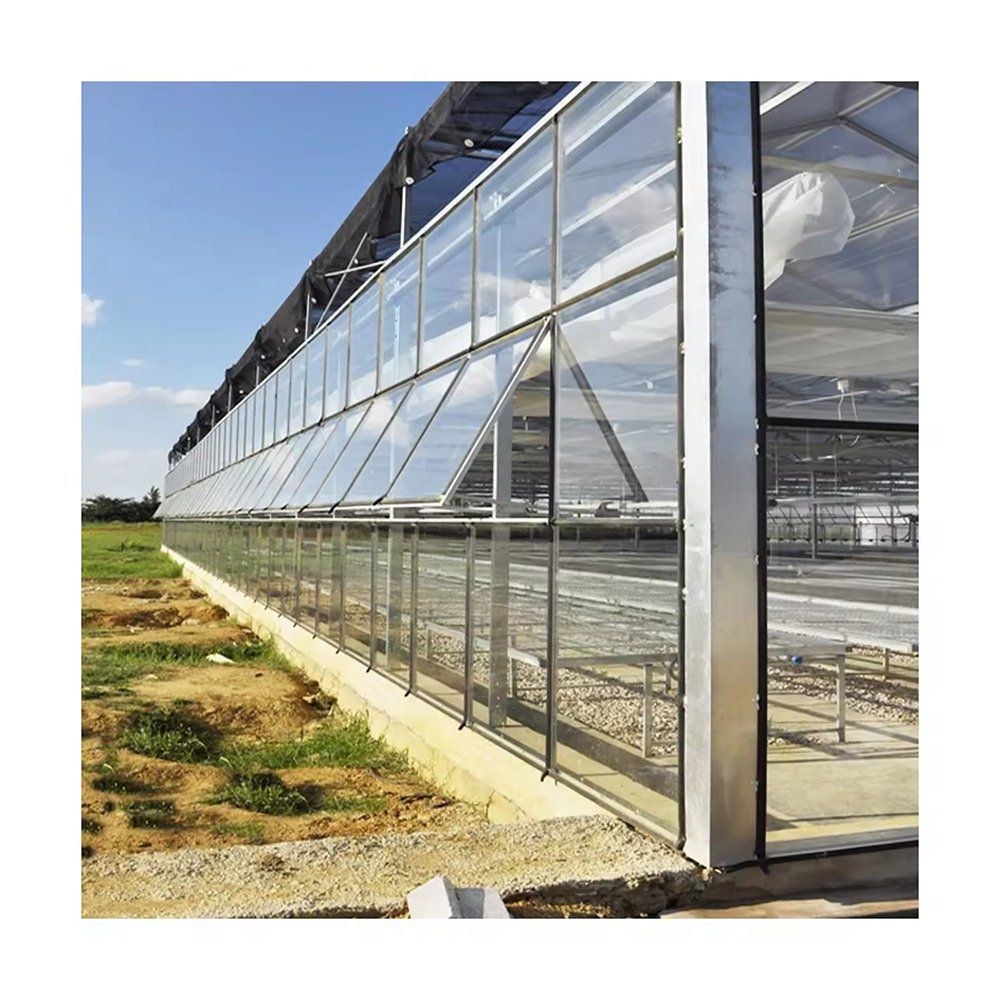 Glass greenhouse wall and internal pipework seen from ground level