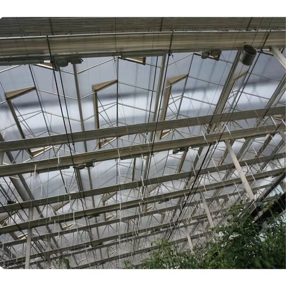 Interior view of a glass greenhouse roof and steel structure