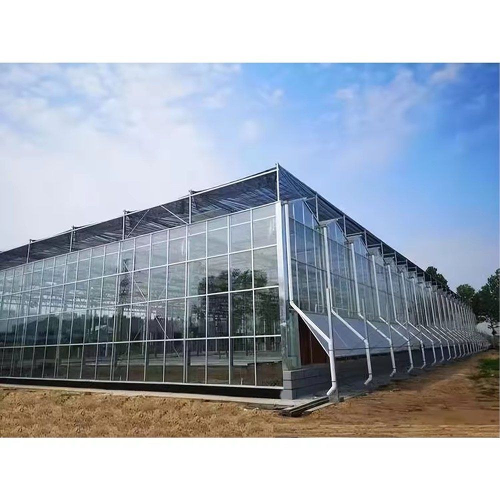 Glass Greenhouse with Hydroponic System for Commercial Growers