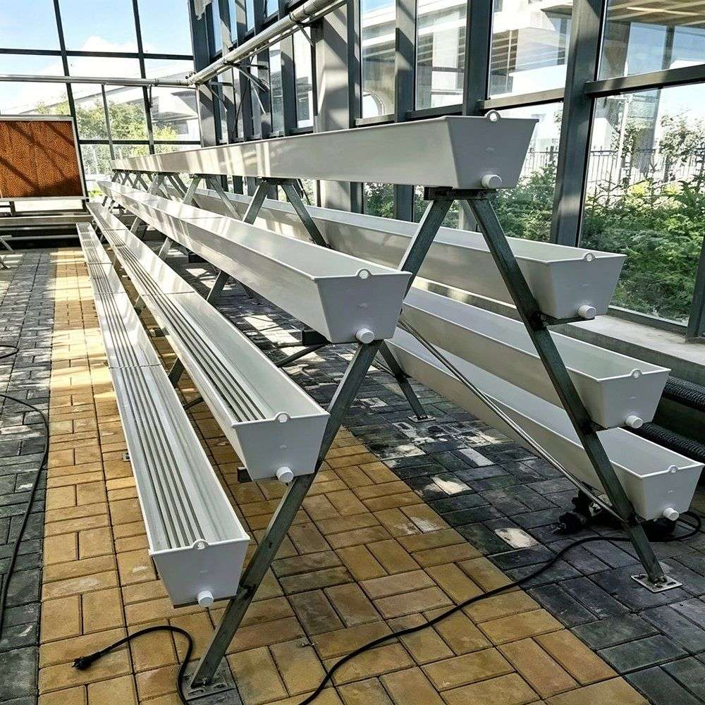 Growing troughs on A frame stands inside a glazed building