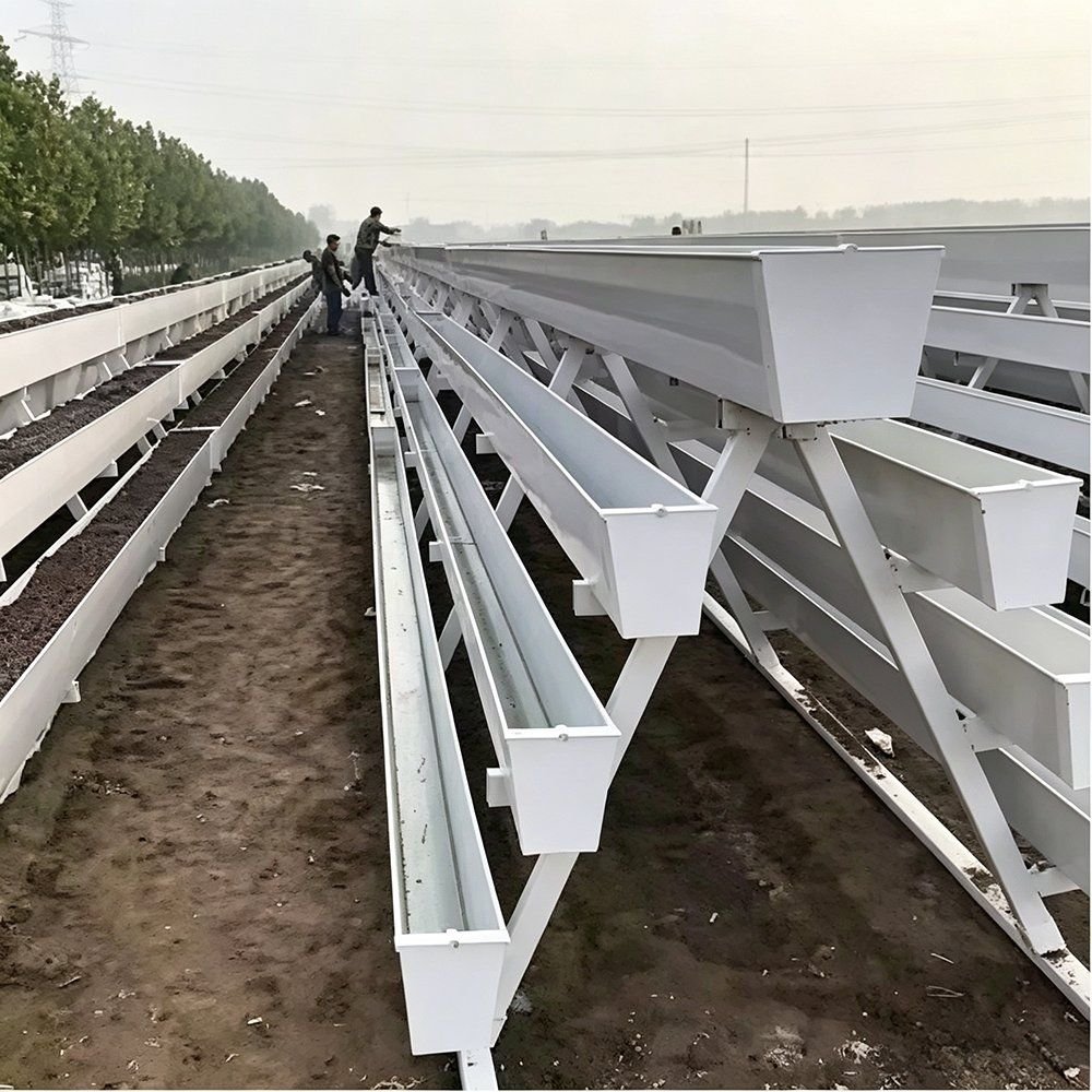 White growing troughs standing in rows out of doors