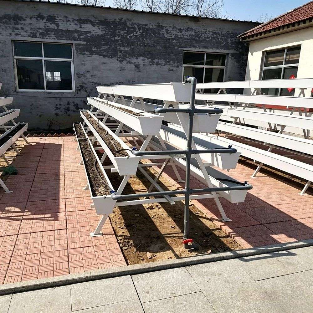 Growing troughs on stands in the open beside a building