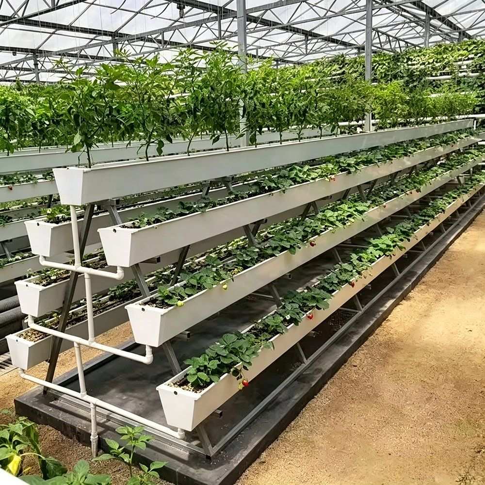 Commercial Glass Hydroponic Greenhouse with Automated Irrigation System