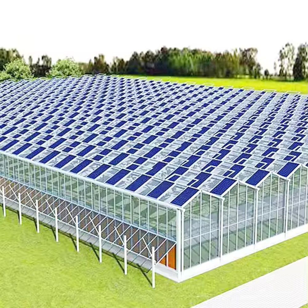 Hydroponic Photovoltaic Multi Span Glass Greenhouse for Tomato Growing