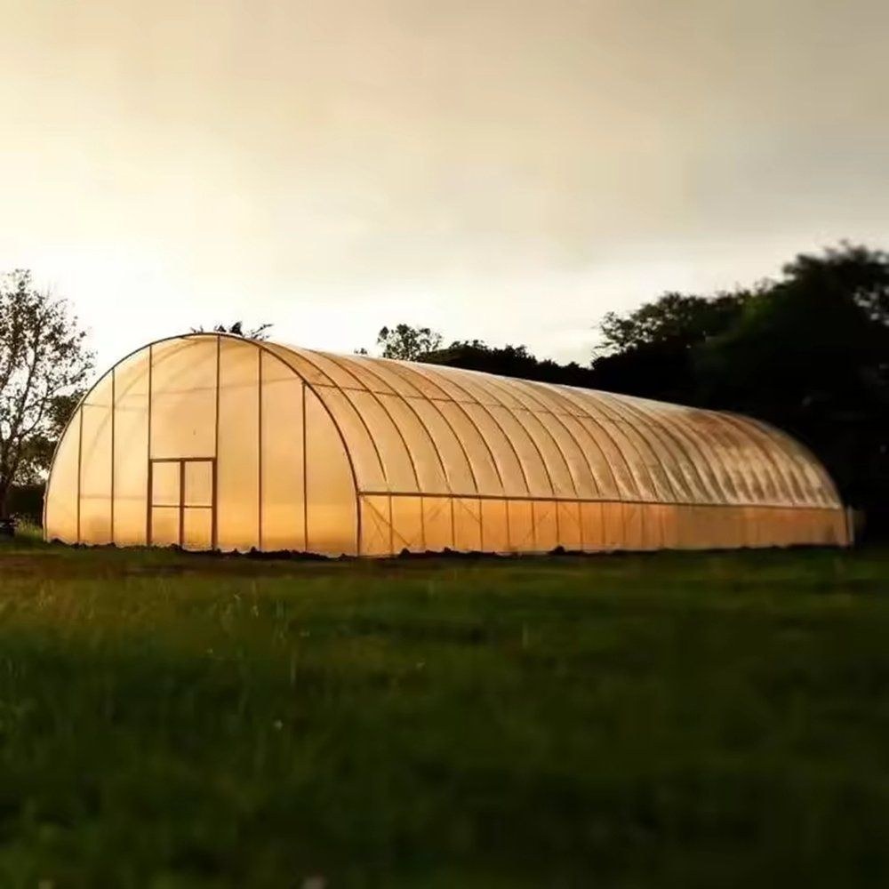 Single span arched greenhouse with a film cover photographed at dusk