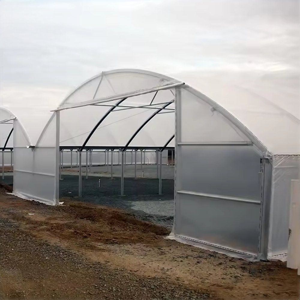 Completed single span gothic arch greenhouse on a farm site
