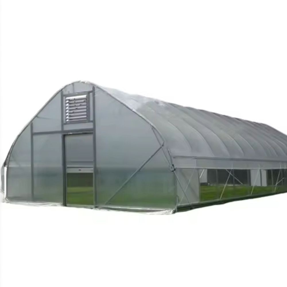 Single span greenhouse with light film cover and an end wall vent window