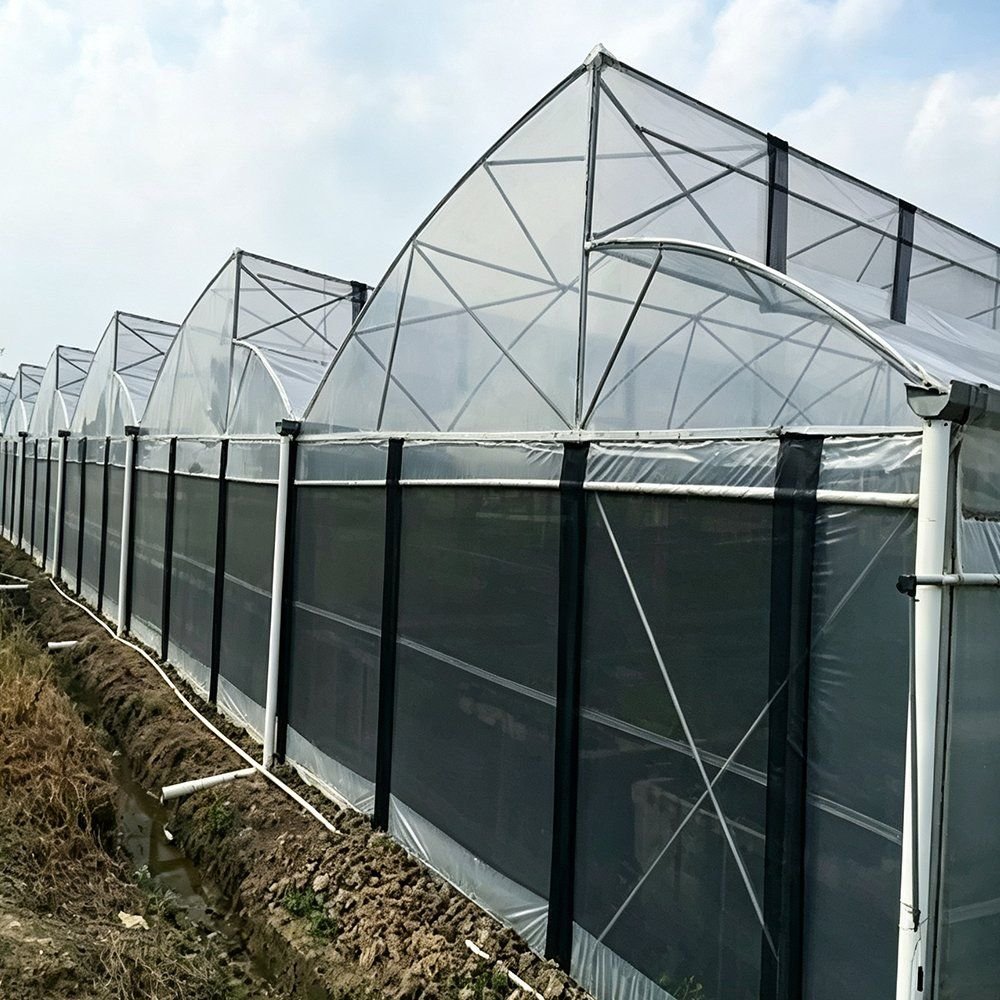 Gothic arch film greenhouse seen from the side on an open site