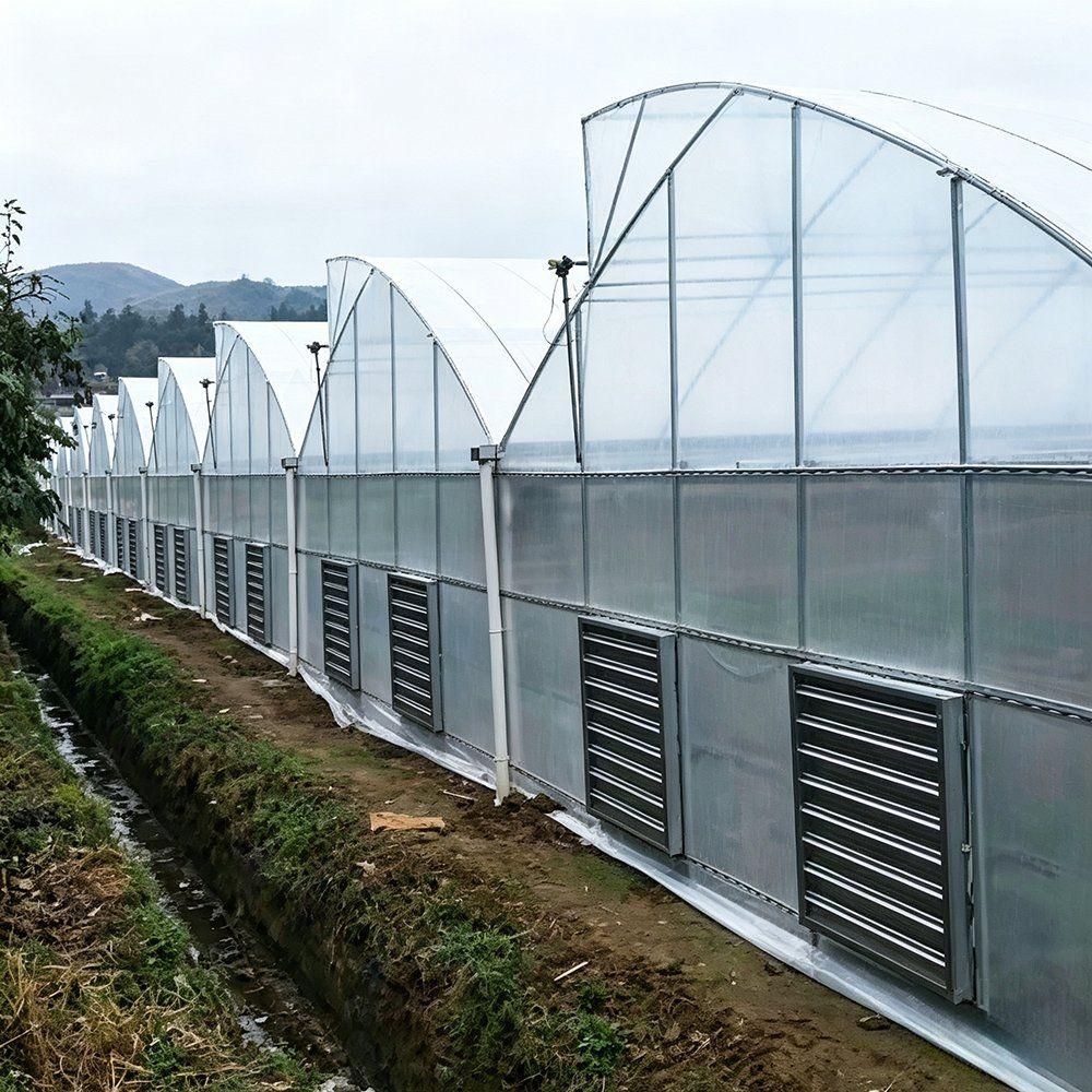 Multi span greenhouse with louvred side wall vents on a farm
