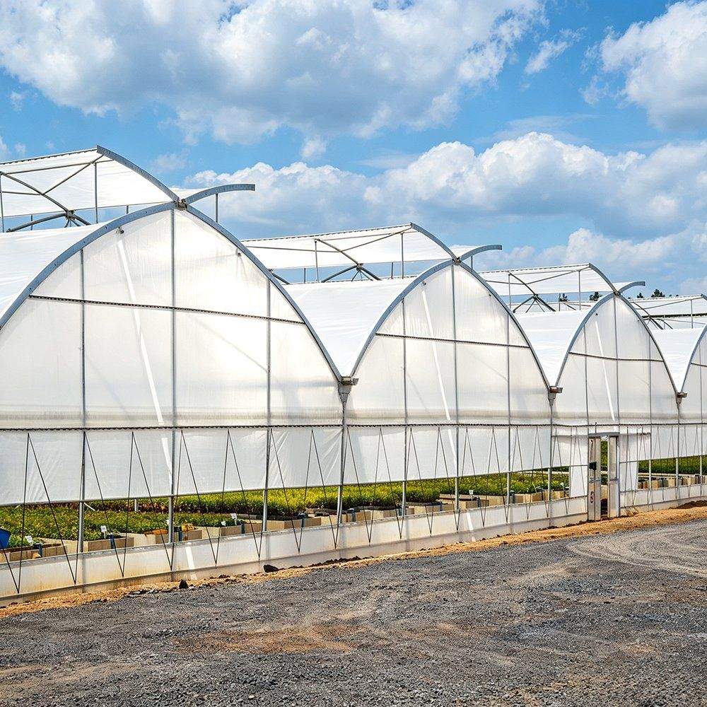Gothic Arch Agricultural Plastic Film Greenhouse with Galvanized Frame