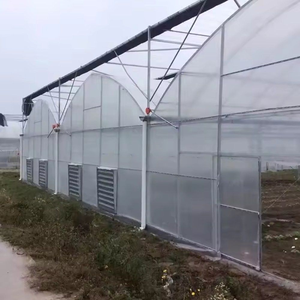 Wall mounted fan unit on the side of a multi span greenhouse