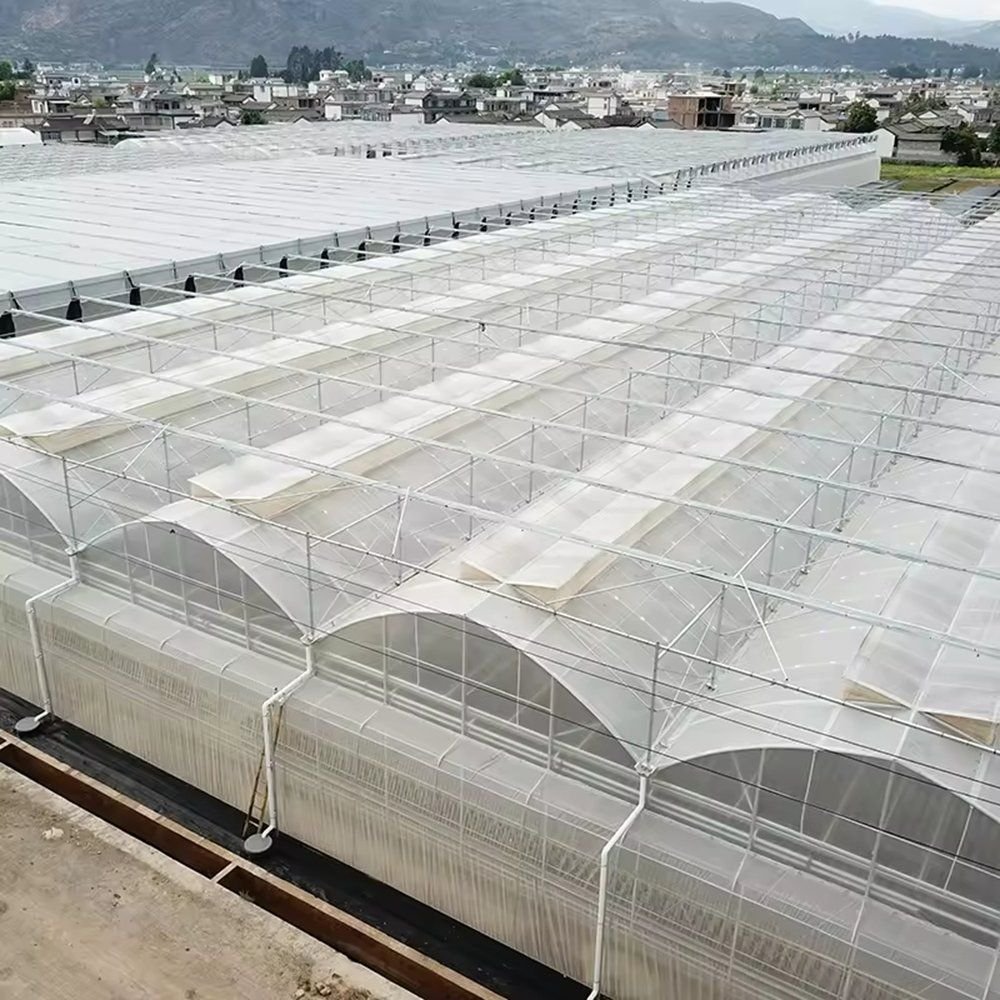 Rows of arched greenhouse bays running away from the camera