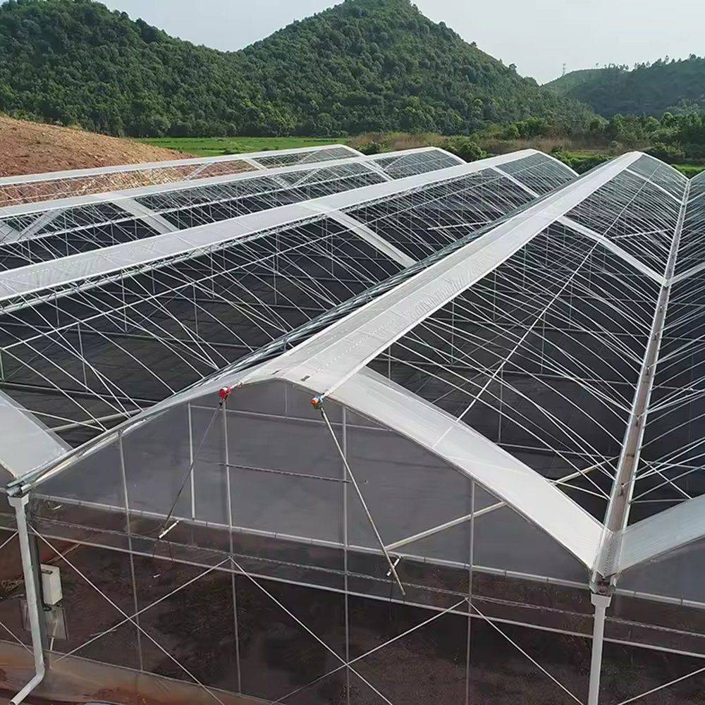 Multi span greenhouse bays with an external shade net drawn over the roof