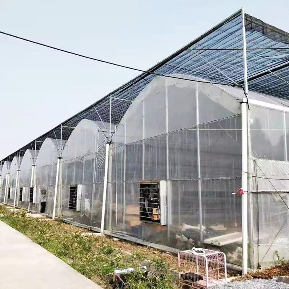 Side elevation of a multi span greenhouse with rows of ventilation windows