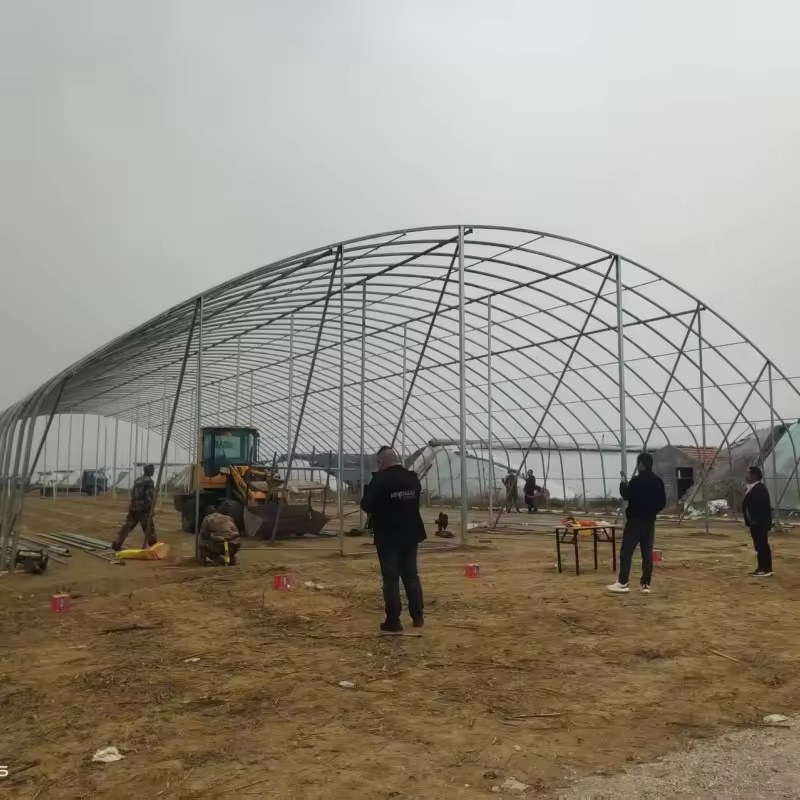 Greenhouse frames under construction on an open site