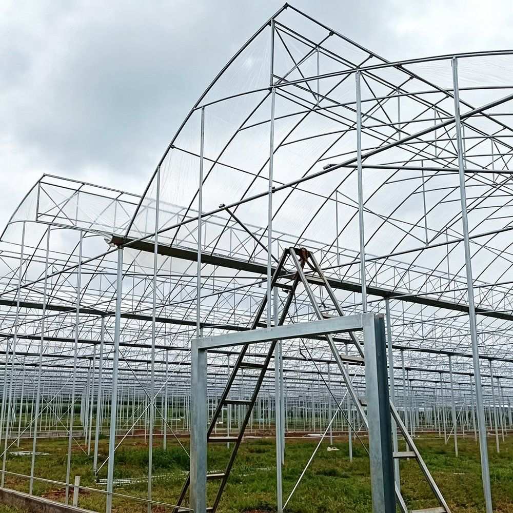Steel greenhouse frame structure with steep roof sections