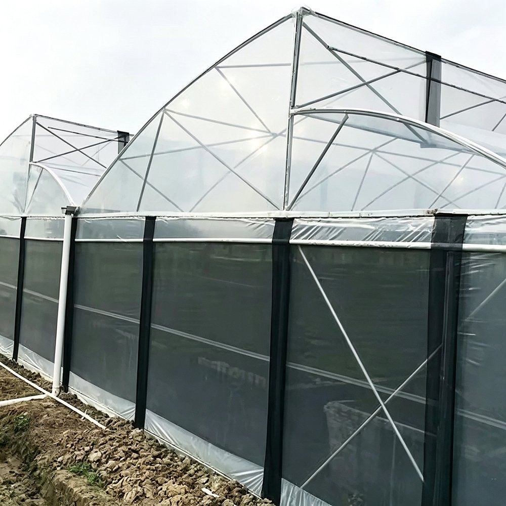 Steep roof greenhouse frame and eave line with a film cover