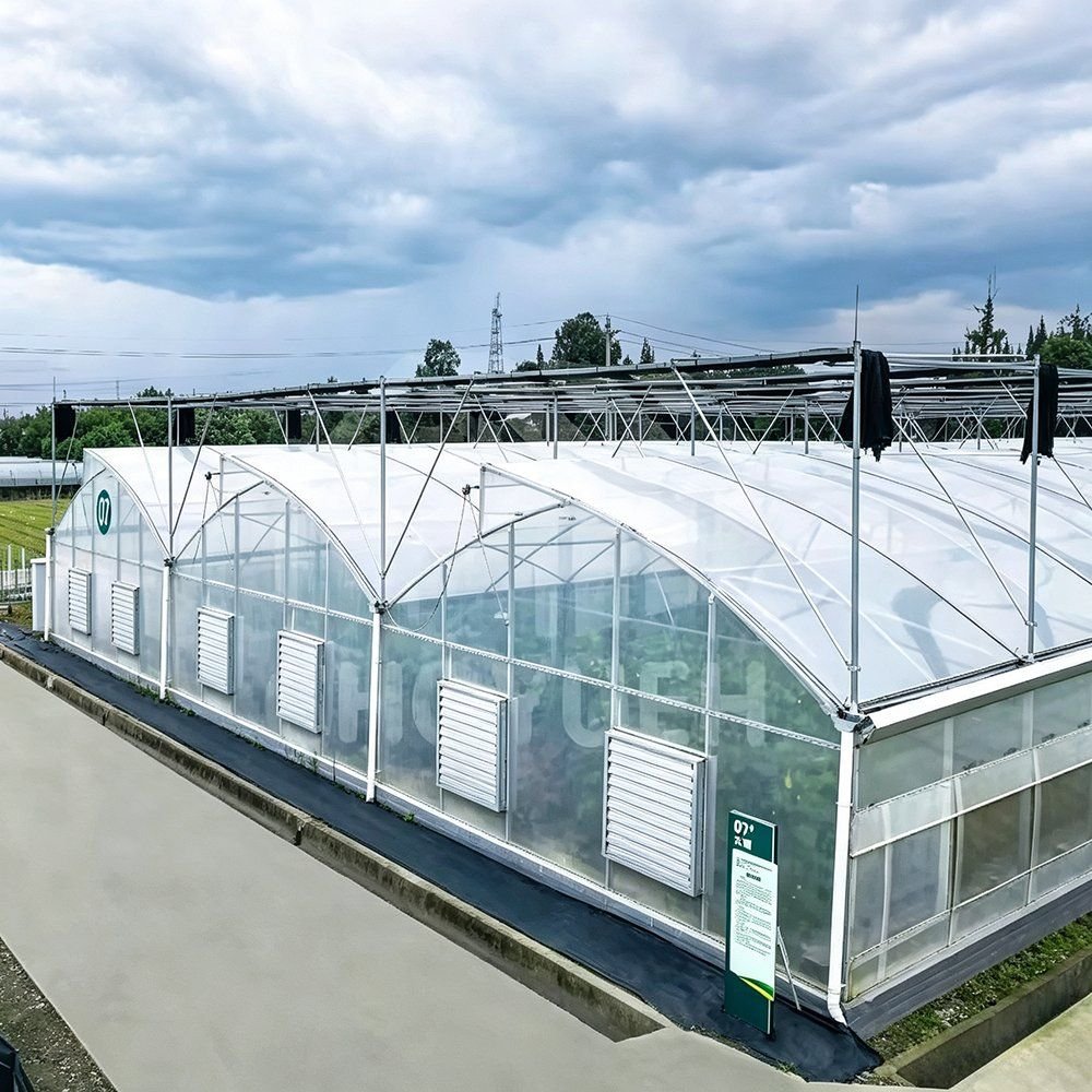 Greenhouse side wall with cooling pads and vent panels