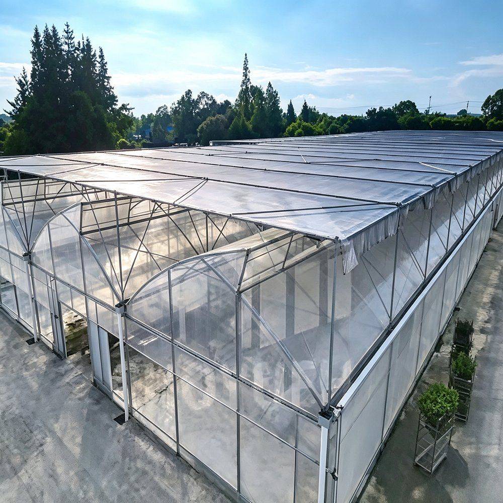 Multi span gothic roof greenhouse with vented side walls and film cover