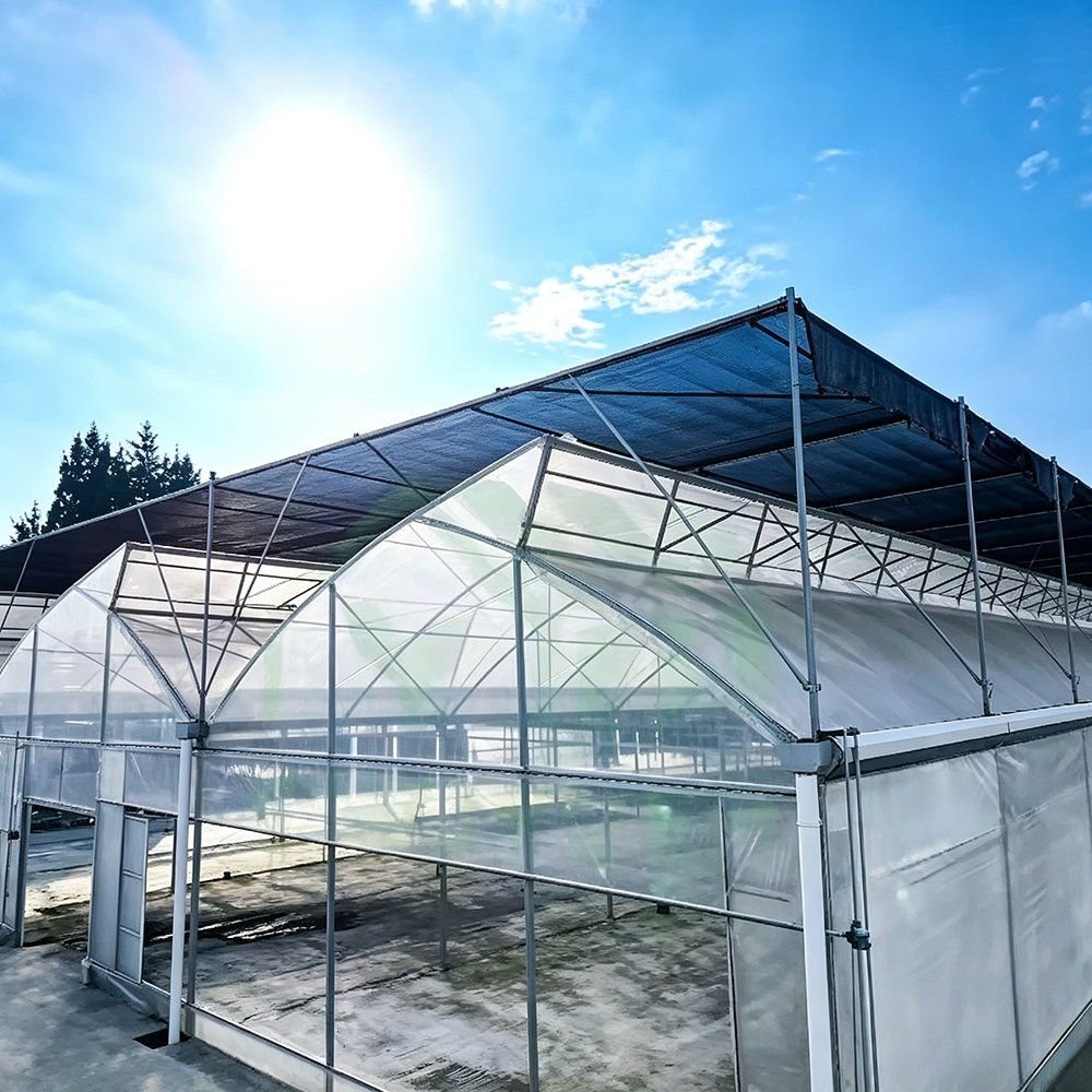 Gothic arch film greenhouse standing in bright sunlight