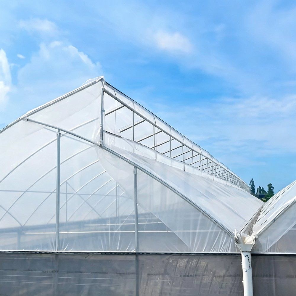 Gothic arch greenhouse roof and frame against a clear sky