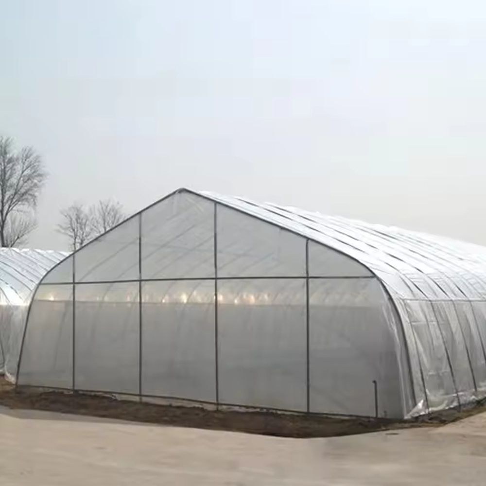 Film covered tunnel greenhouse seen from the side under a grey sky