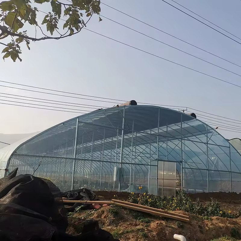 Film greenhouse with a shade net laid over the cover