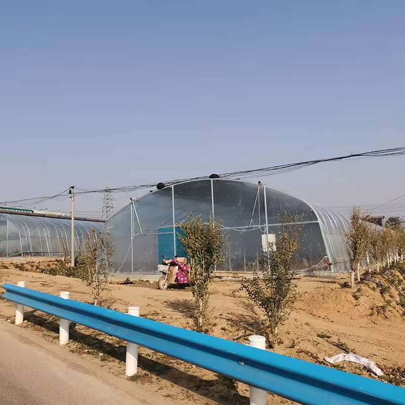 Single Span High Tunnel Tomato Greenhouse with Galvanized Steel Frame