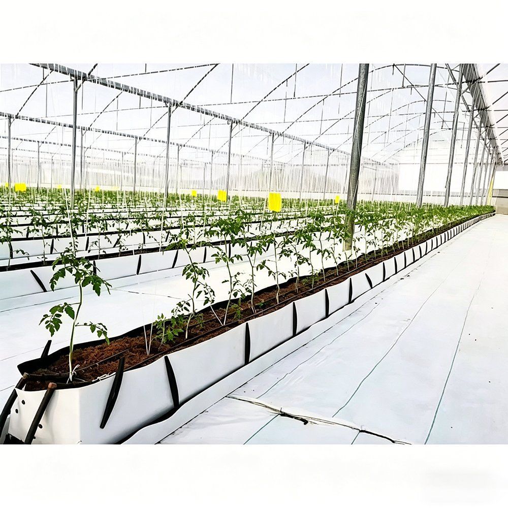 Hydroponic channel rows and service aisle in a commercial greenhouse
