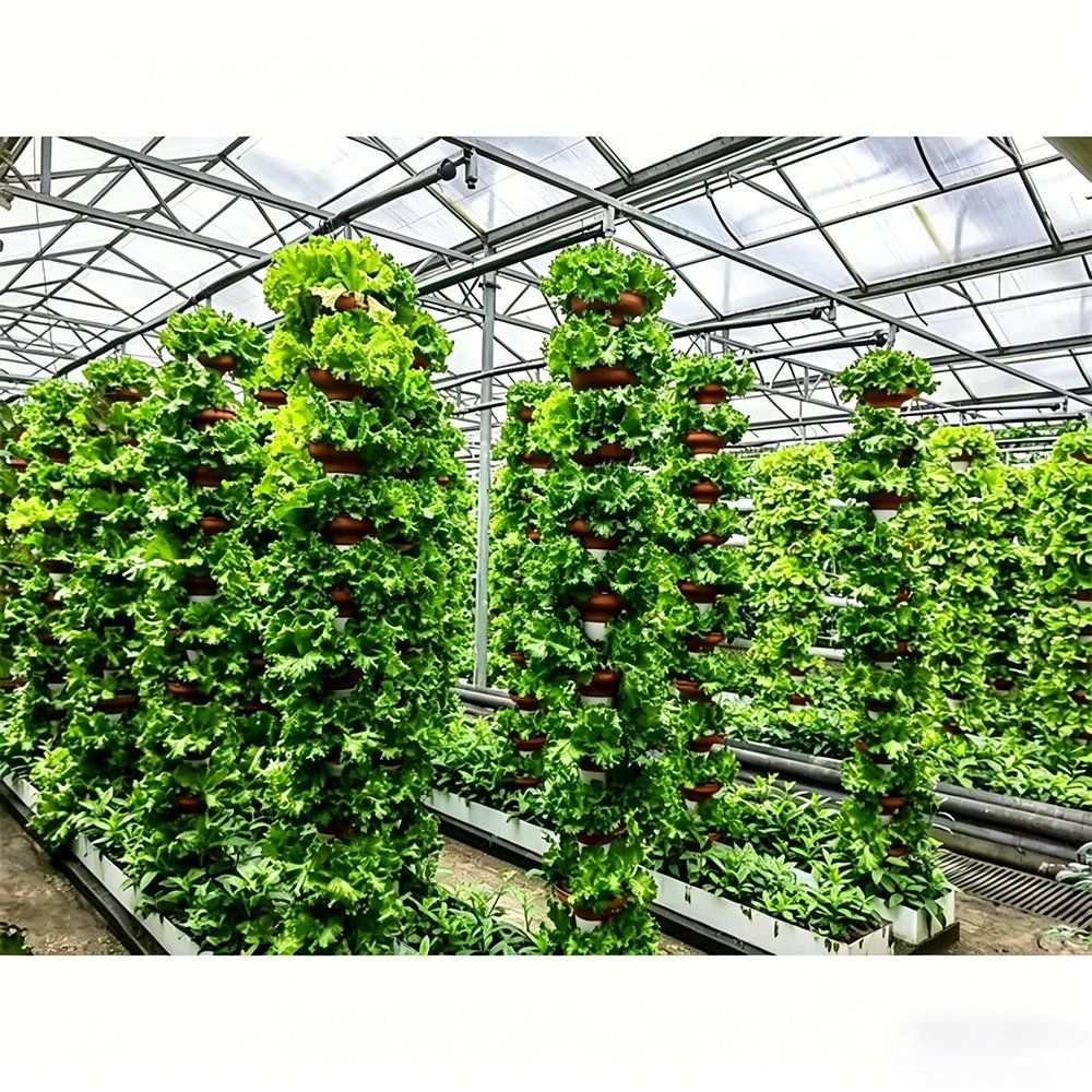 Vertical hydroponic towers carrying leafy crops in a greenhouse