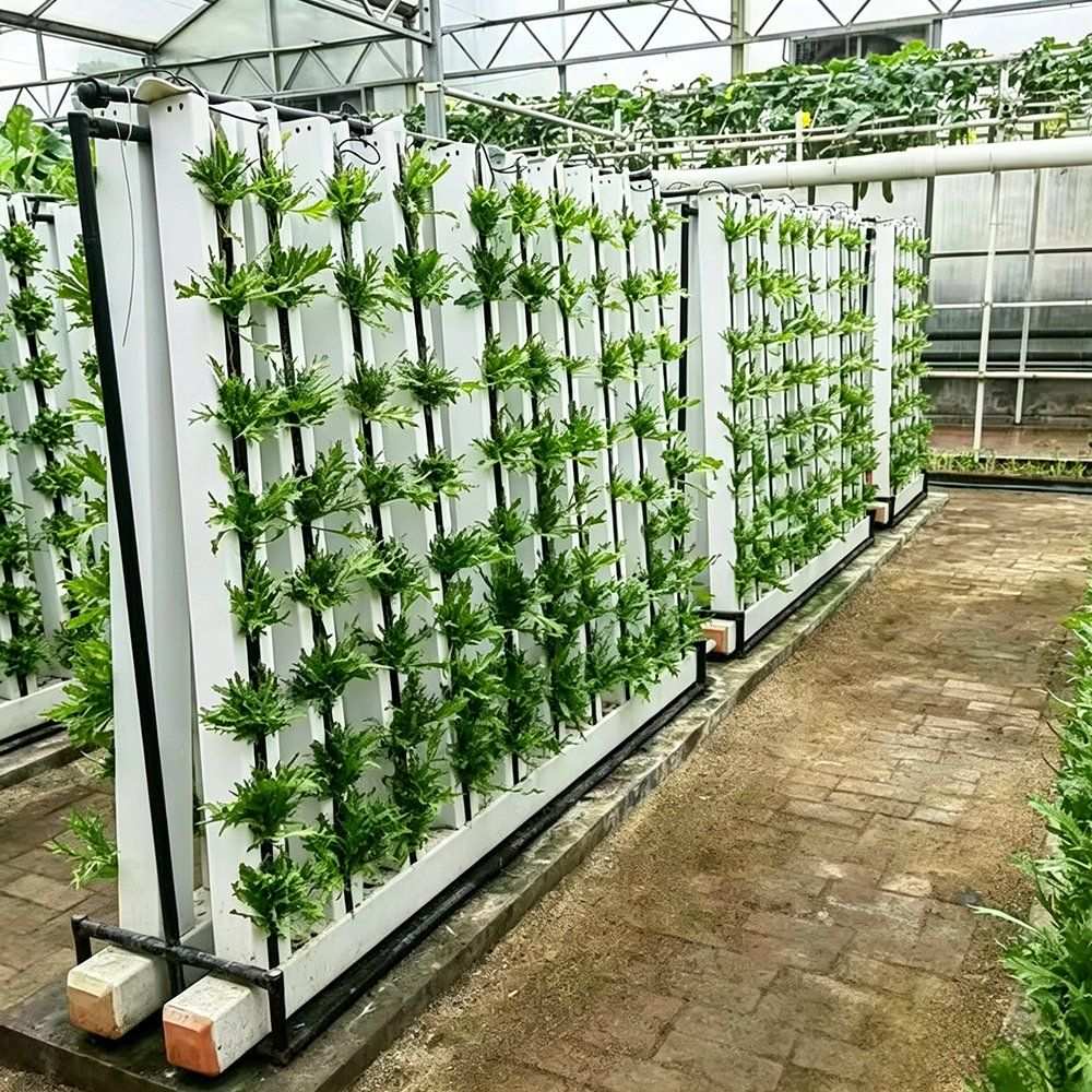 Vertical hydroponic growing wall planted with leafy crops
