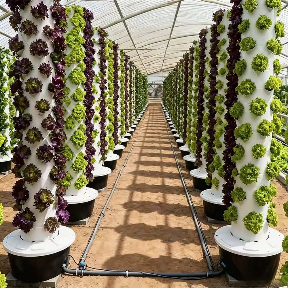 Automated Hydroponic Tower System for Greenhouse Soilless Tomato Growing