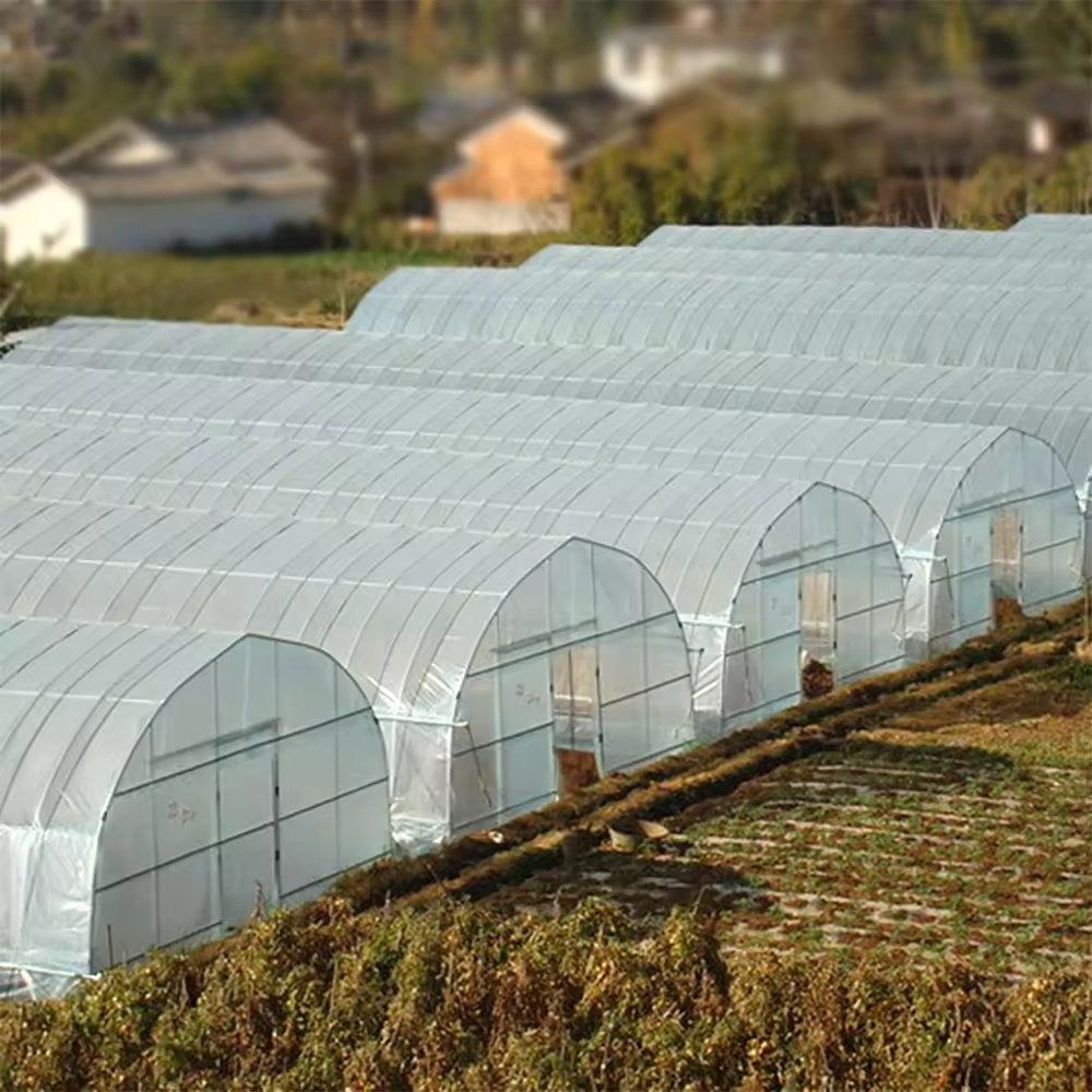 Rows of multi span film greenhouses on a farm site