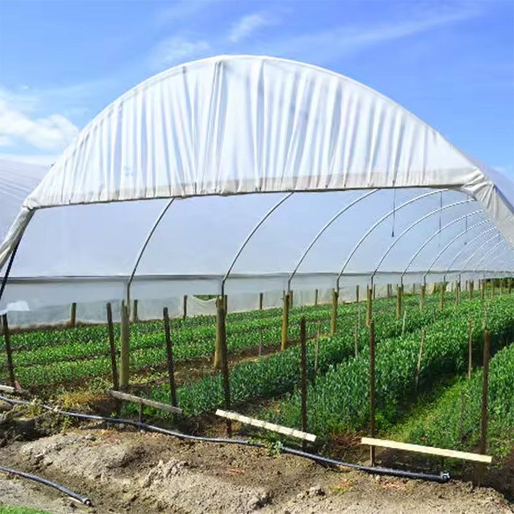 Large film covered greenhouse with a wide arched roof