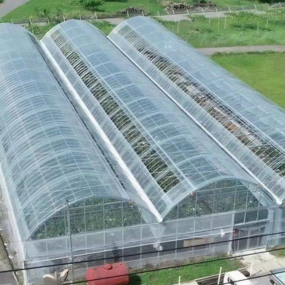 Agricultural Multi Span Hydroponic Greenhouse with Double Layer Film