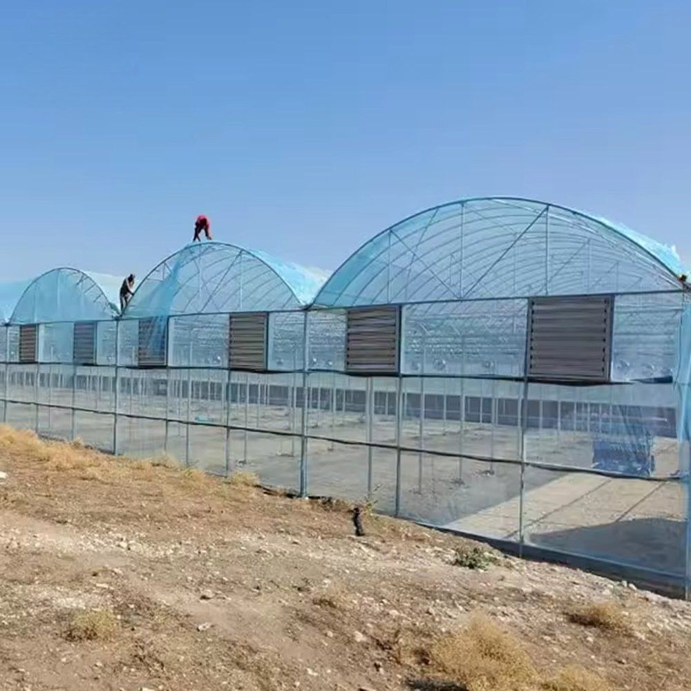Multi span greenhouse with workers on the roof under a blue sky