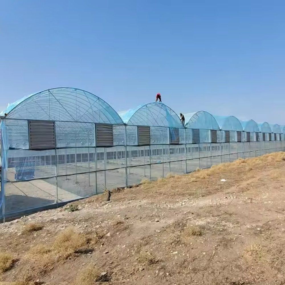 Commercial Multi Span Plastic Film Agricultural Greenhouse for Growers