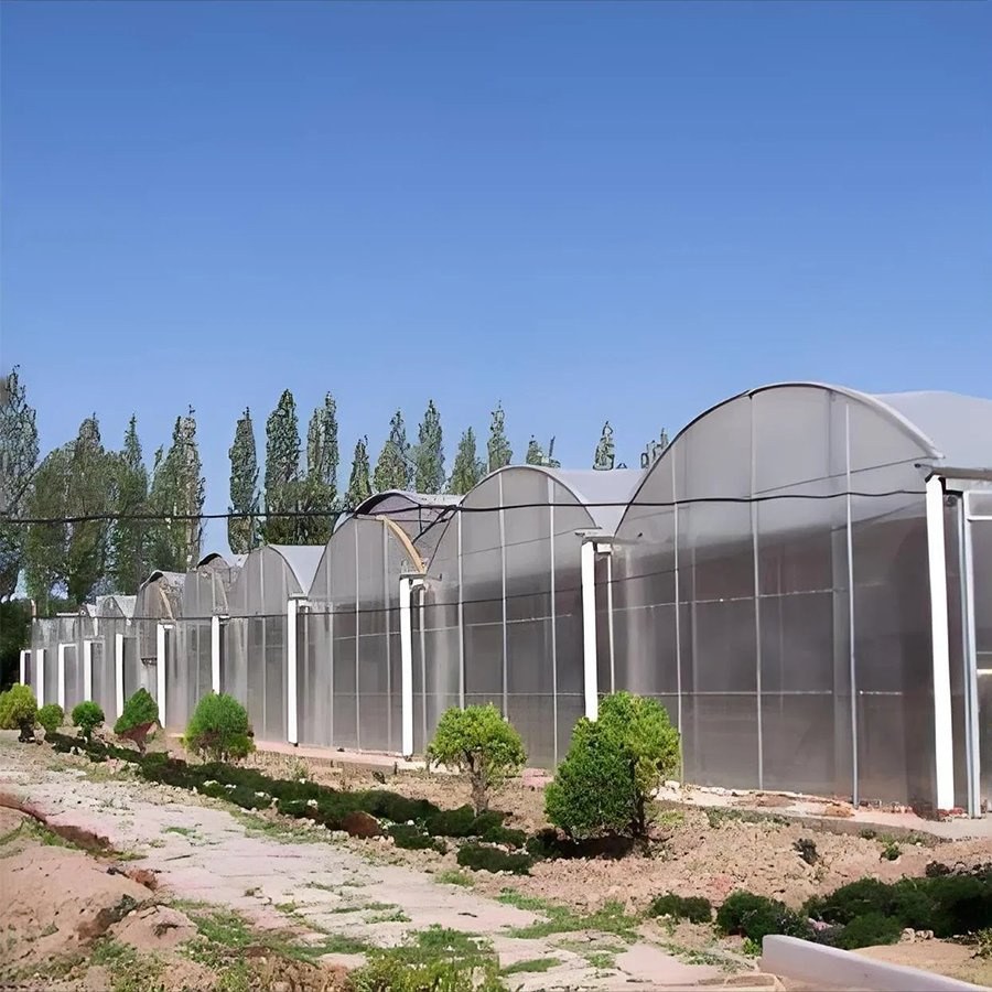 Row of arched greenhouses with a film cover on a farm site