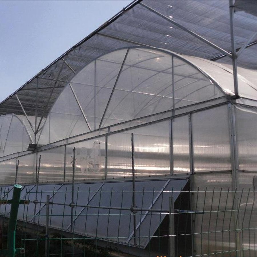 Interior of a greenhouse with a shade screen drawn across the roof