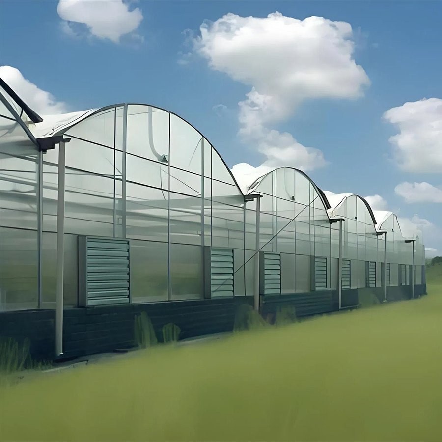 Prefabricated Single Span Agricultural Mushroom Greenhouse Kit