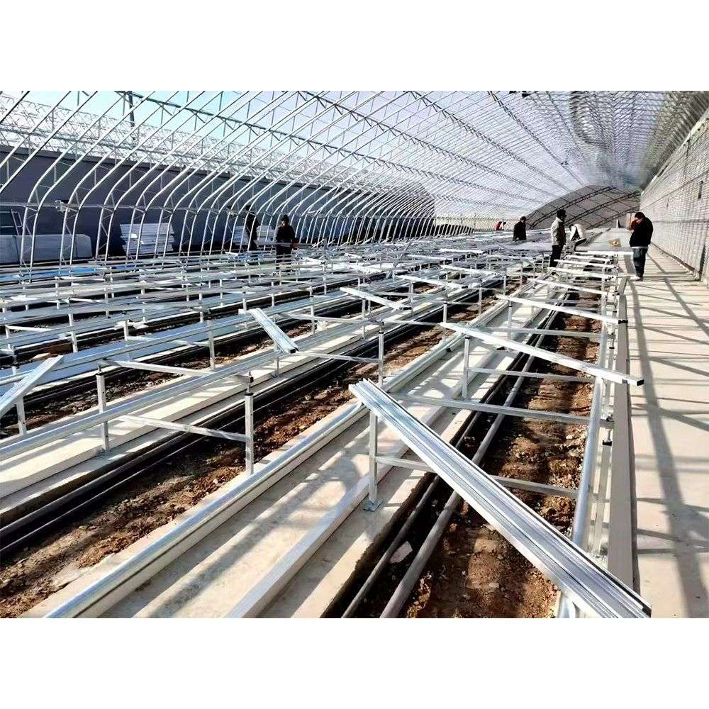 Rolling nursery benches running down a greenhouse bay