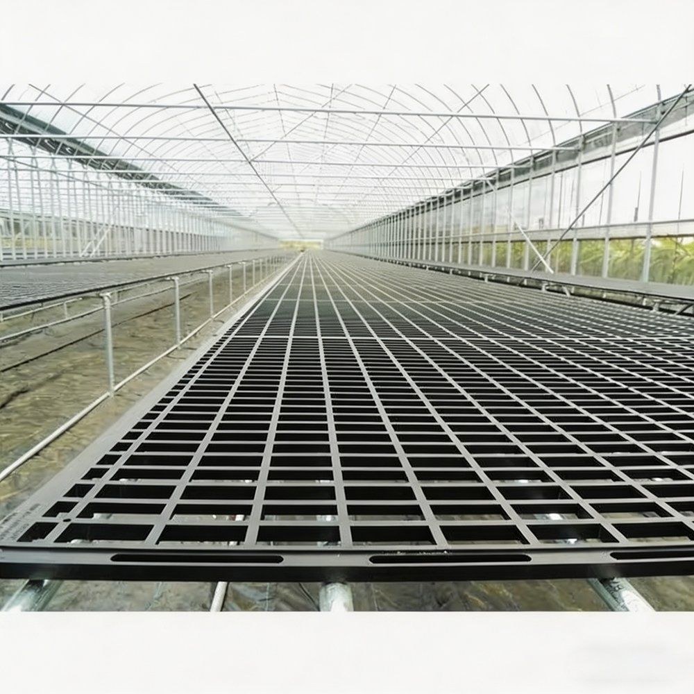 Rows of rolling nursery benches laid out inside a greenhouse