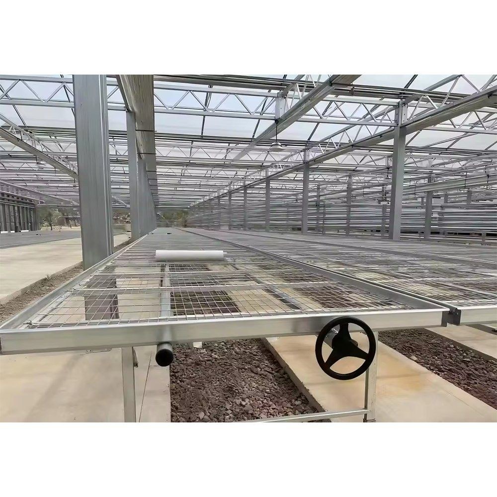 Seedling trays on a galvanized nursery bench with a wire mesh top
