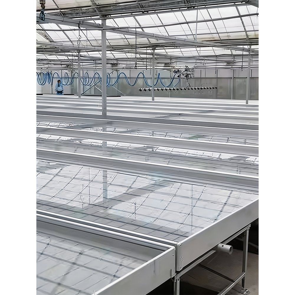 Rows of empty galvanized rolling benches inside a greenhouse