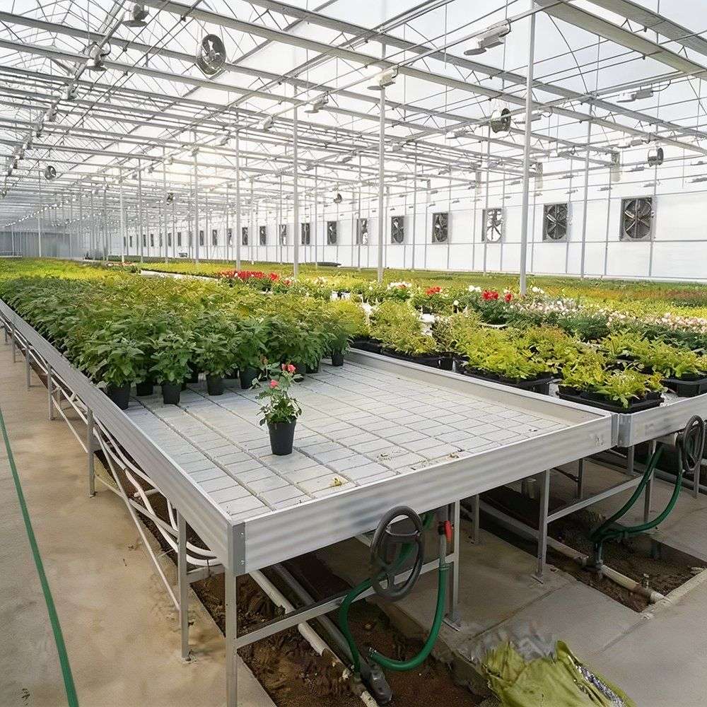 Rolling nursery benches holding potted plants inside a greenhouse