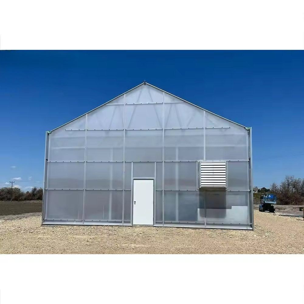 Polycarbonate sheet greenhouse with a framed door in the end wall