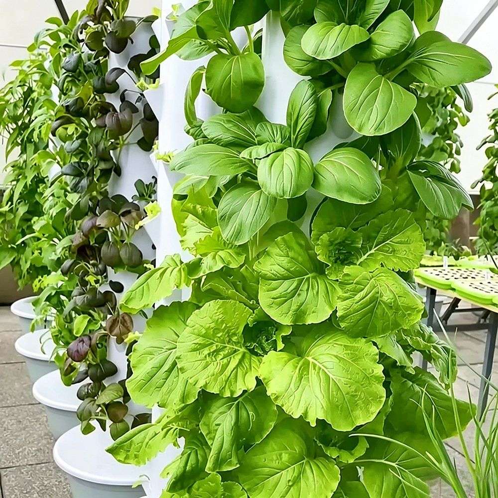 Stacked plant tower with leafy crops growing at every level
