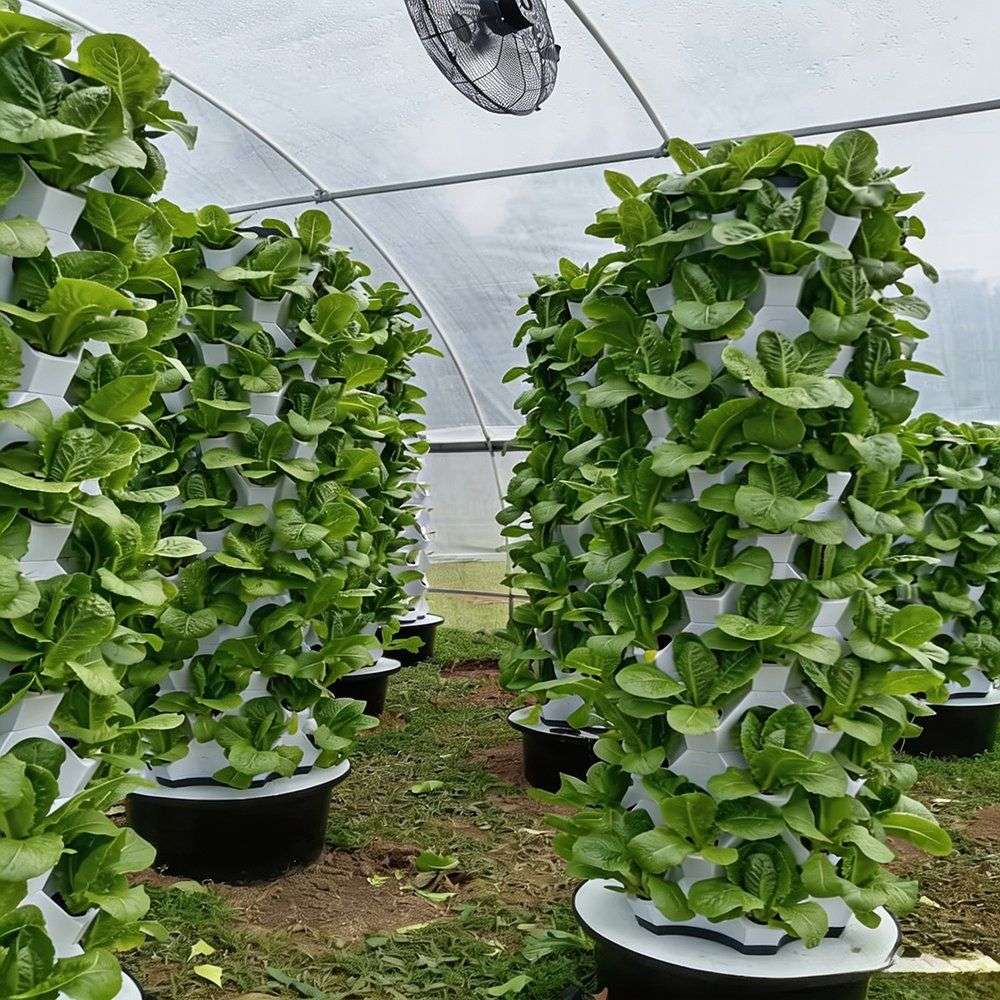 Plant towers carrying leafy crops along a greenhouse bay