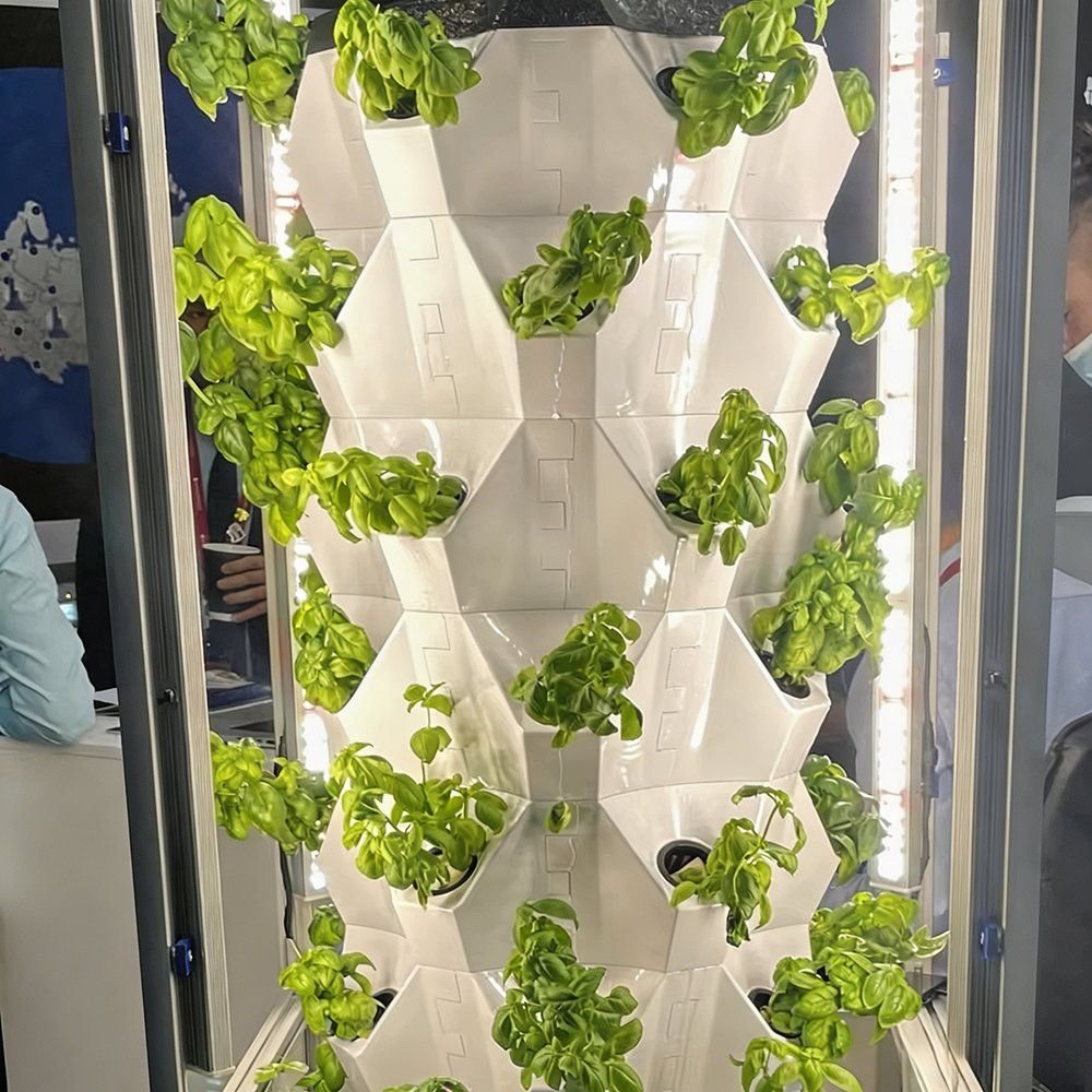 Close view of a white plant tower with lettuce growing from every port