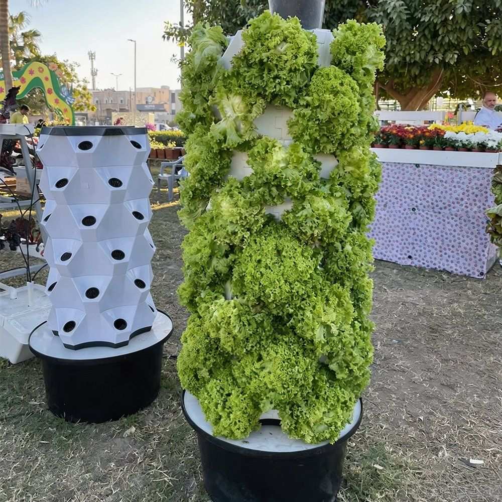 Automated Plant Tower Hydroponic System for Greenhouse Soilless Tomato